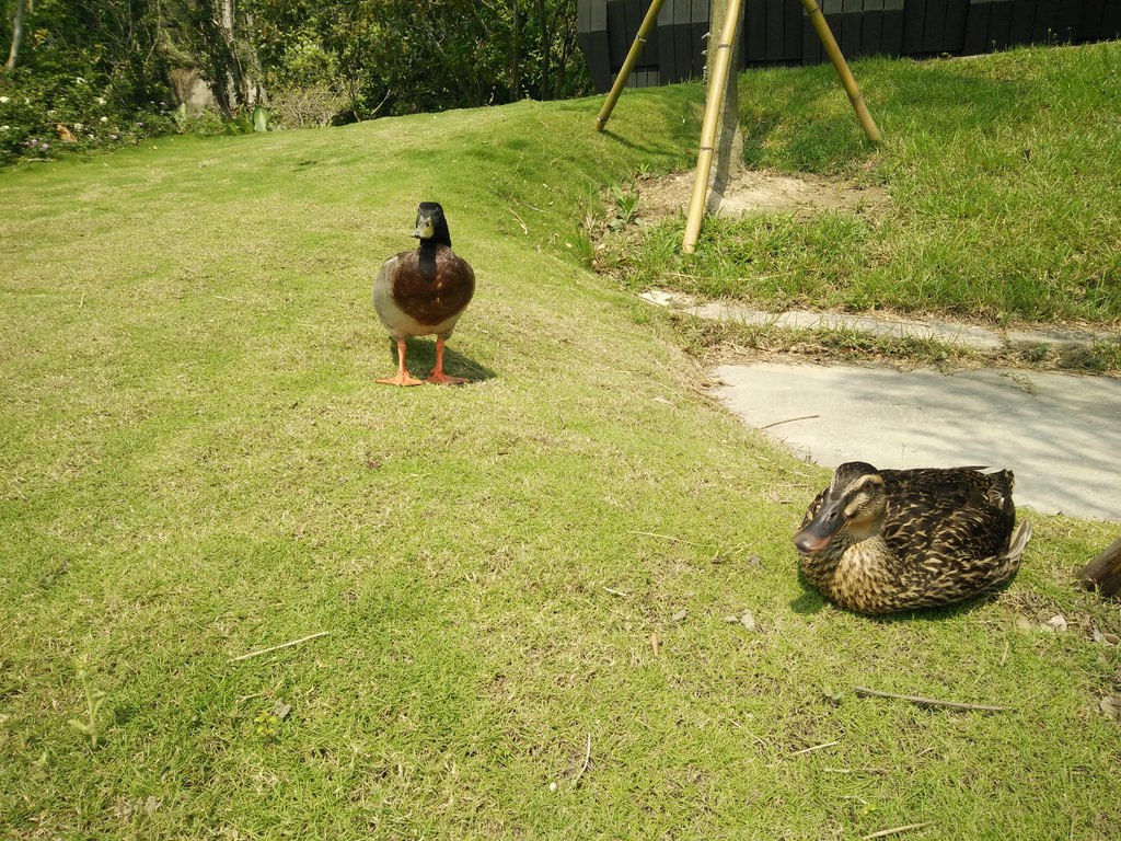 IMG20170421132846.jpg