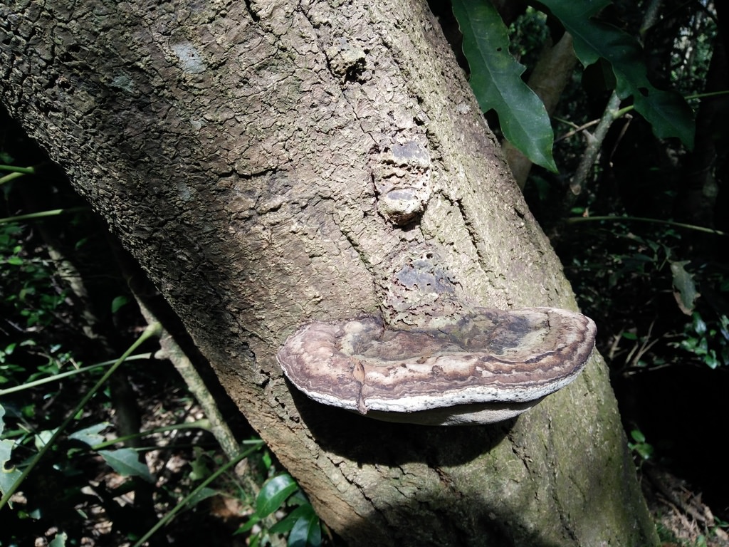 IMG20161120113459.jpg