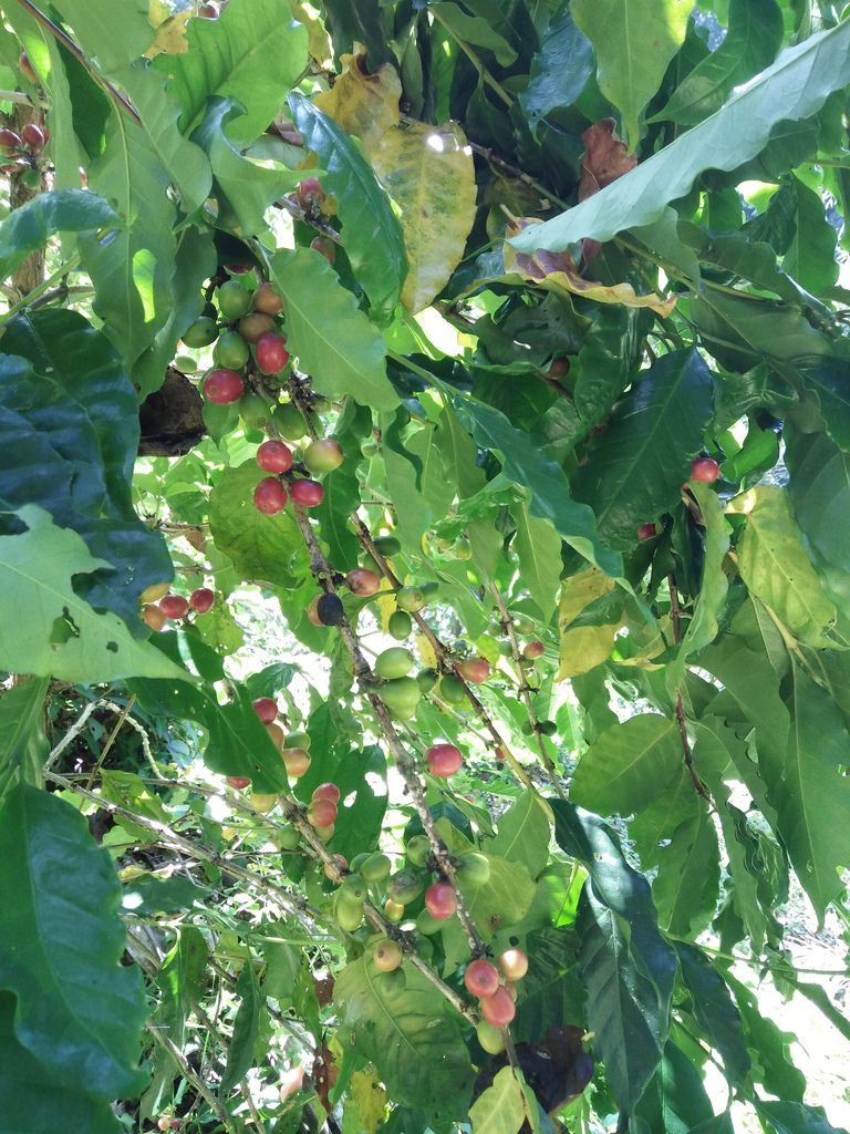 IMG20161120120434.jpg