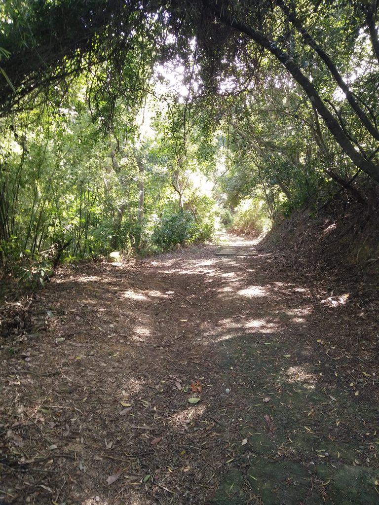IMG20161120111418.jpg